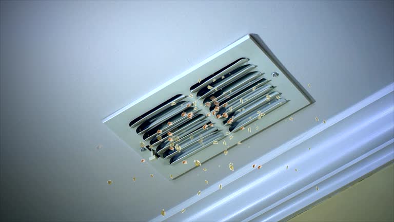 Best Affordable HVAC Duct Cleaning  in Sedalia, MO