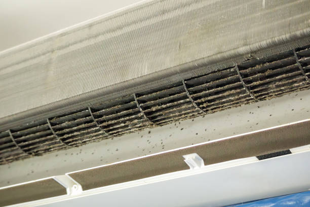 Best Ventilation Cleaning Services  in Sedalia, MO
